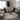 Darlington Area Rug